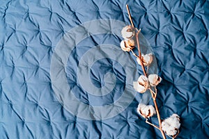 A cotton plant branch lies on the bed with a navy blue counterpane. Cotton flower on fabric bedspread cover surface. Top