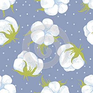 Cotton plant seamless pattern