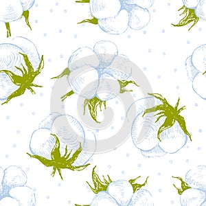 Cotton plant seamless pattern