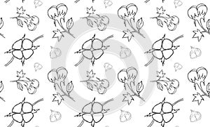 Cotton plant . Vector seamless pattern.