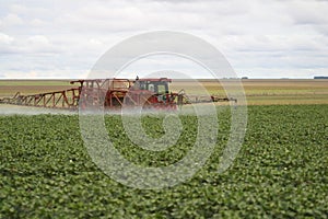 Cotton planting and management in Brazilian agribusiness