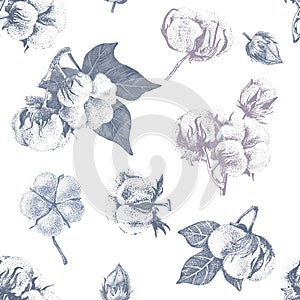 Cotton seamless pattern