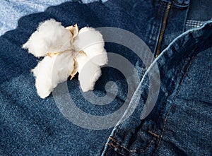 Cotton Sitting on Blue Jeans Made by Fiber