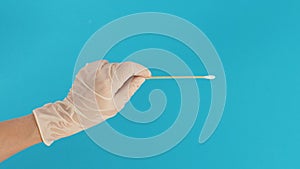 Cotton stick for swab test in hand with white latex gloves on blue background