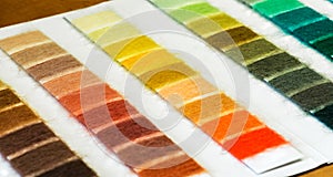 Cotton Thread Sample Chart Arranged by Color