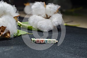 cotton written text,cotton best view