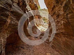 Cottonwood Canyon Narrows in Utah