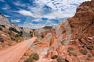 Cottonwood Canyon Road photo