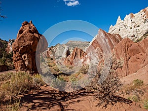 Cottonwood Road in Grand Staircase