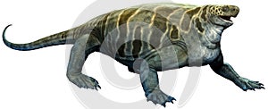 Cotylorhynchus from the Permian era 3D illustration