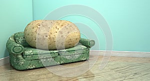 Couch Potato On Old Sofa