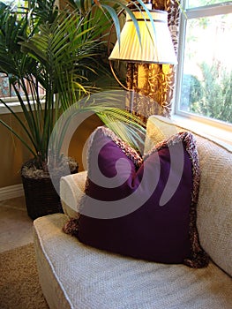 Couch and Purple Pillow