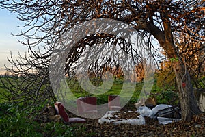 Couch and Seats underneath a Tree in Granada, Spain