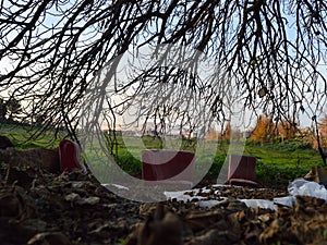 Couch and Seats underneath a Tree in Granada, Spain