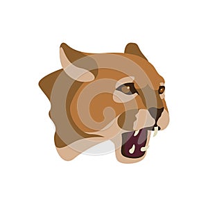 Cougar head face vector illustration style Flat