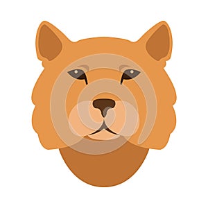 Cougar head vector illustration style Flat