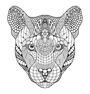 Cougar, mountain lion, puma, panther head zentangle stylized, ve