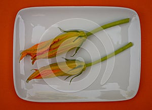 Cougette or zucchini flower for cooking fritters or beignet.on white plate