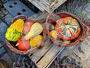 Coulorful orange and red decorative gourds