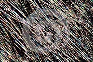 Coumarin crystals under the Microscope