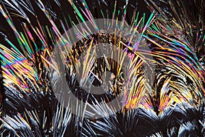 Coumarin crystals under the Microscope