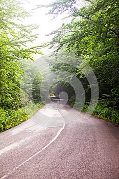 Counrtyside mountains forest road in the Slovakia Tatras