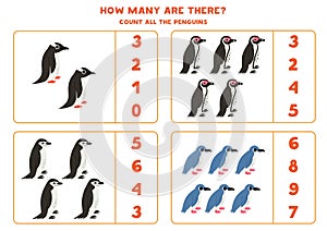 Count all penguins and circle the correct answers.