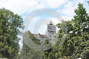 Count Dracula Castle view between the trees