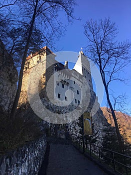 Count Dracula story old vampire Romania Transylvania houses street Bran Castle