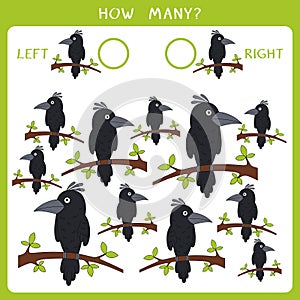 Count how many birds look left and right