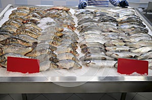 Counter fish store.