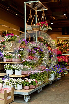 The counter of a flower store in Germany is full of fresh flowers