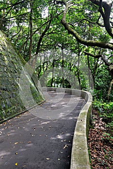 Counterfort and path with green plant around