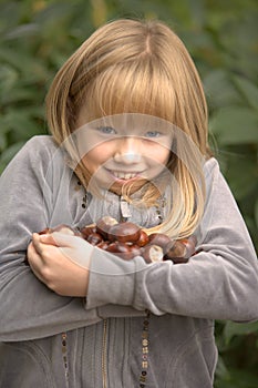 Counting conkers from a horse chestnut tree