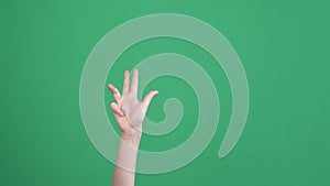 Counting at fingers concept. Rised kid hand showing 1, 2, 3, 4, 5 fingers up over chroma key green screen background