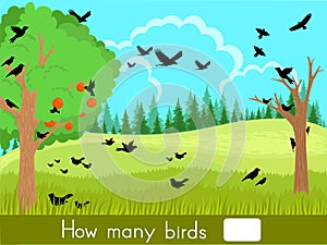 Counting game. How many birds