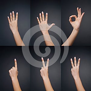 Counting woman hands (0 to 5)