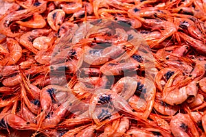 Countless shrimp or prawns on a tray at the fair. Freshly caught crustaceans