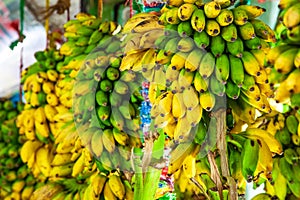 Countless yellow bananas, bunch of bananas on sale at a street stall. photo