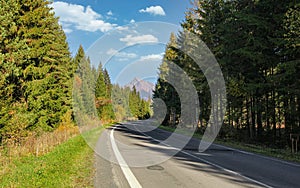 Country asphalt road, coniferous trees on both sides, mount Krivan peak Slovak symbol  with blue sky above, in distance