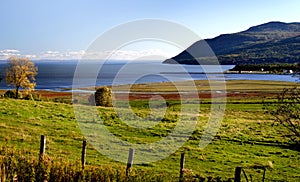 Country automn landscape