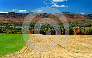 Country autumn landscape
