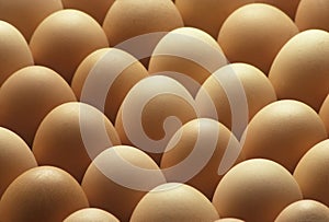 Country brown eggs lined up photo