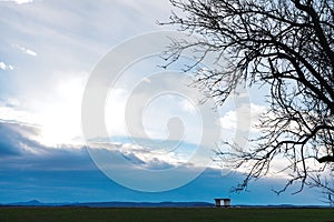 Country bus station on road under evening sky