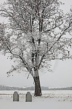 Country cemetery with snow