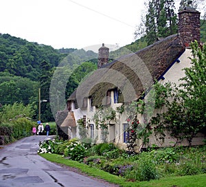 Country Cottage Devon