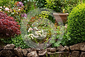 Country cottage garden full of flowers in bloom in summer