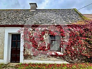 Country cottage on small lane, County Offaly, Ireland