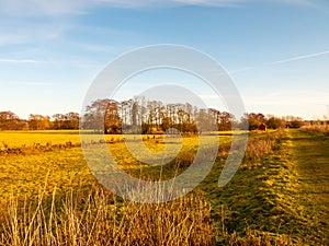 Country day landscape field trees grass autumn winter