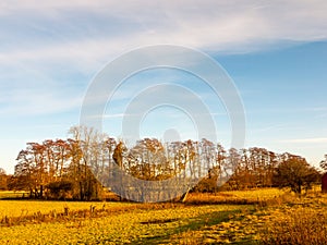 Country day landscape field trees grass autumn winter